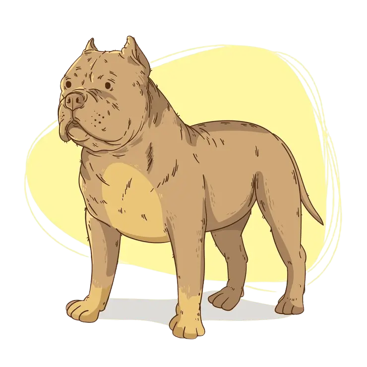 A muscular, light brown dog standing confidently
